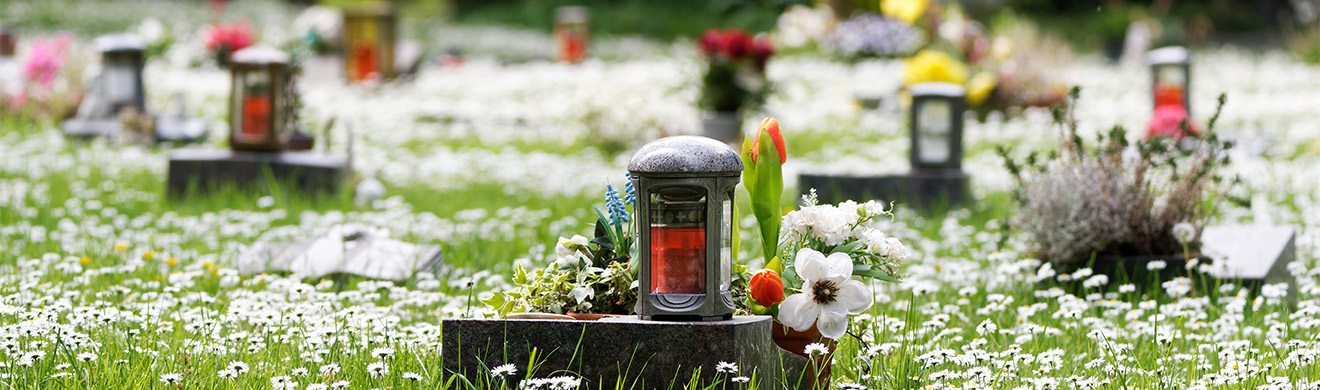 Verschiedene Urnengräber mit Laternen in einer blühenden Wiese – Symbol für Einäschern und liebevolles Gedenken.